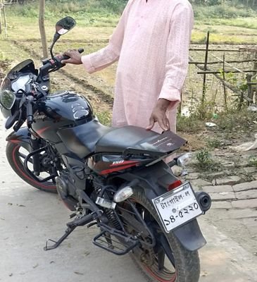 Premium Back Carrier Pulser 150 Sd & 150 DD - Image 4